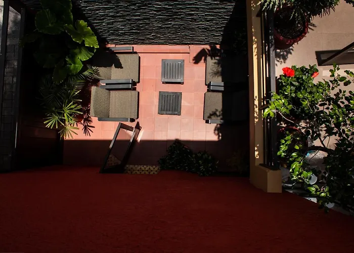 The Red Tree House Bed & Breakfast Mexico City