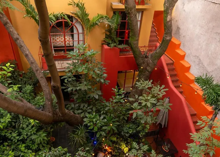 The Red Tree House Bed & Breakfast Mexico City